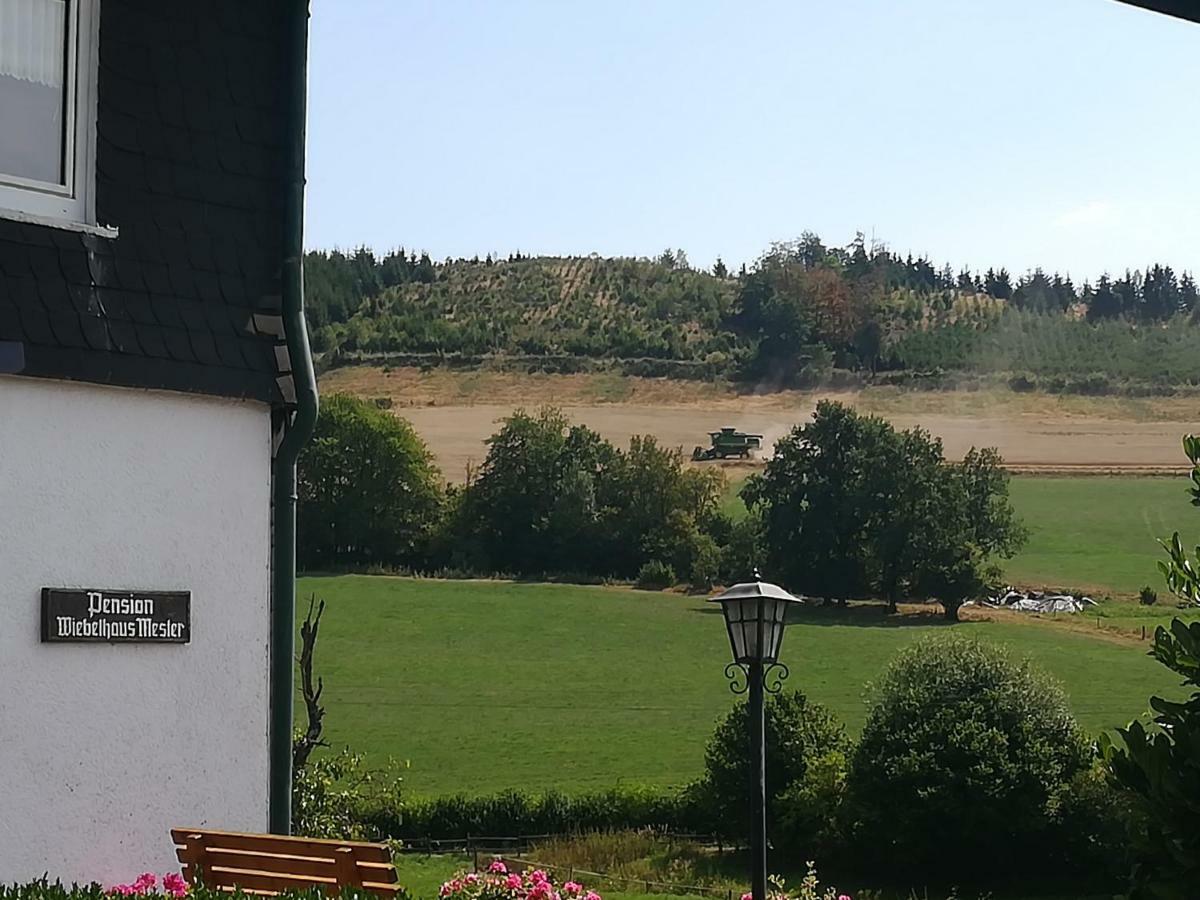 Bauernhofpension Wiebelhaus-Mester Lennestadt Extérieur photo